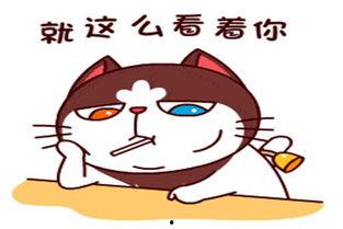 闺女别怕，回娘家,勇敢回娘家的温馨故事