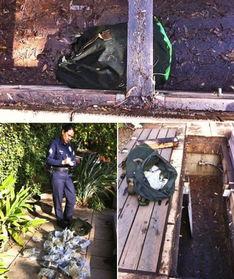 后院有宝,揭秘家中不为人知的财富秘密