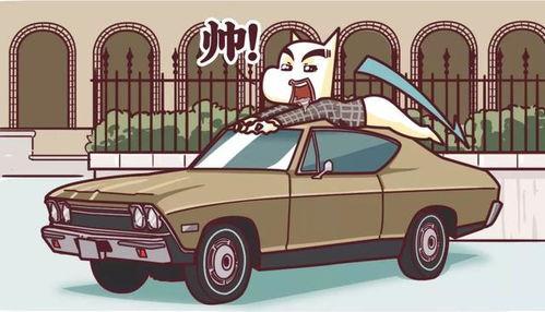 十代单传夫人她一胎动全城,传奇家族的传承奇迹